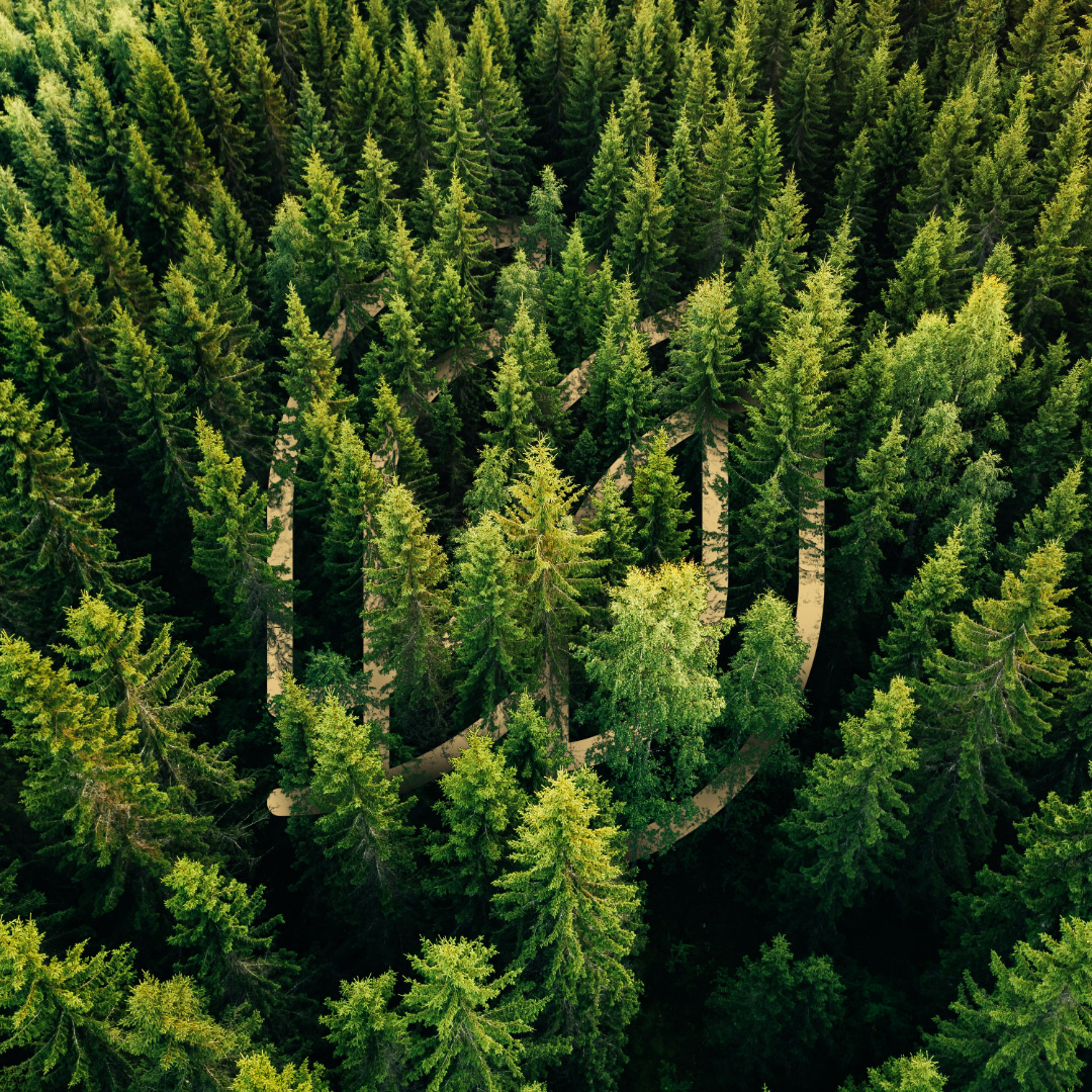 Responsabilidade socioambiental